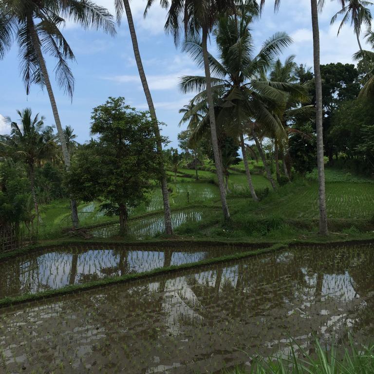 Bukit Asri Lodge Seraya Bagian luar foto