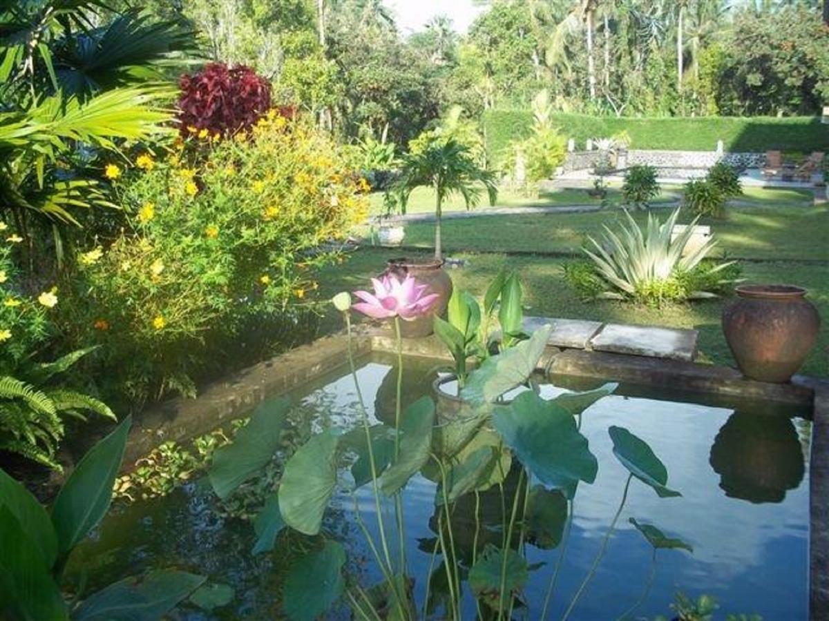 Bukit Asri Lodge Seraya Bagian luar foto